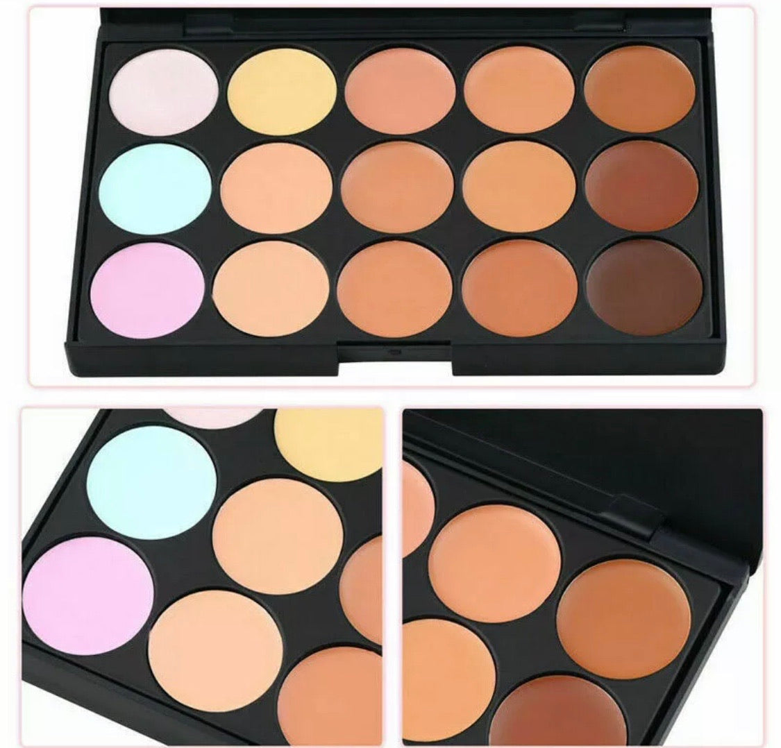 Cream Concealer Compact with 15 Colors